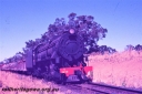 T05633.jpg