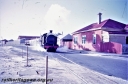 T05639.jpg