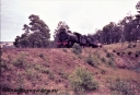T05650.jpg