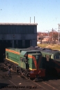 T05657.jpg