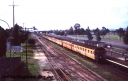 T05672.jpg