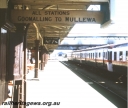 T05682.jpg