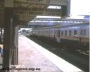 T05683.jpg