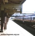 T05684.jpg