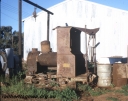 T05685.jpg