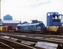 T05696.jpg