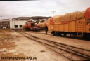 T05698.jpg