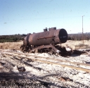 T05727.jpg