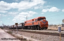 T05738.jpg