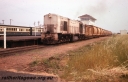 T05739.jpg