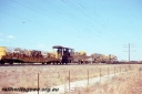 T05782.jpg