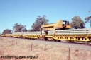 T05783.jpg