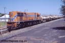 T05796.jpg
