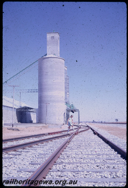 T06007
Cunderdin CBH when new, standard gauge, silos, EGR Line
