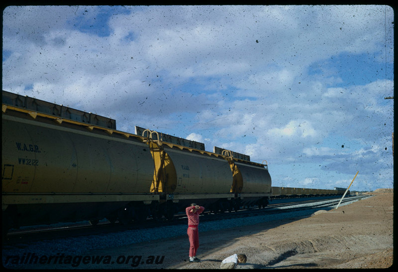 T06009
Cunderdin CBH when new, standard gauge, WW Class 32122 with other WW Class grain wagons, WG Class wagons, EGR Line
