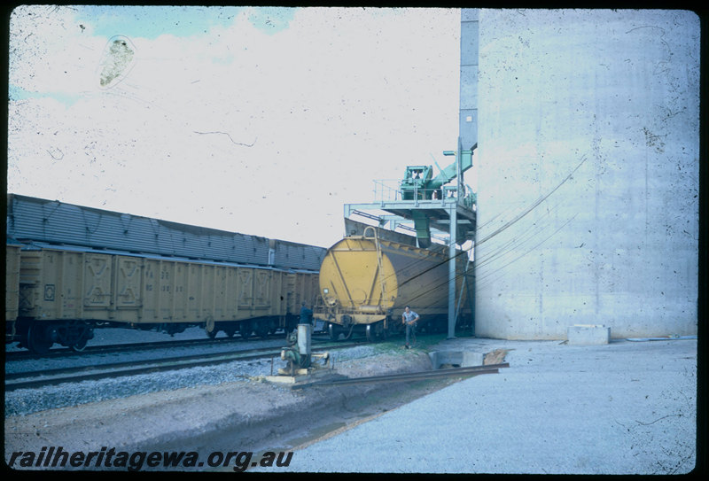 T06010
Cunderdin CBH when new, standard gauge, silos, WW Class grain wagons being loaded, WG Class wagons converted for grain traffic, EGR Line
