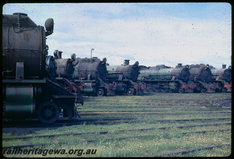 T06035
Numerous steam locomotives stabled on turntable fan, Collie loco depot, W Class 929, S Class 545 