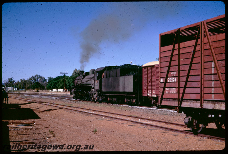 T06074
PMR Class 732, Up goods train, FD Class 13902 van, BE Class 20524 cattle wagon, Mundijong, SWR line
