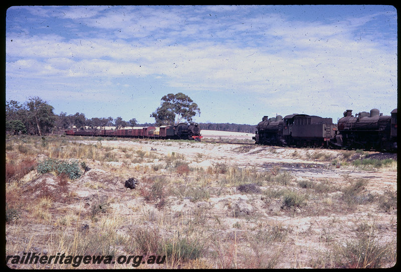 T06083
PMR Class 731 and PMR Class 721 double-heading No. 104 goods train for Collie, 