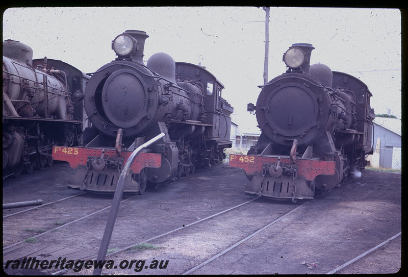 T06091
FS Class 423, FS Class 452, stabled on turntable fan, Bunbury loco depot
