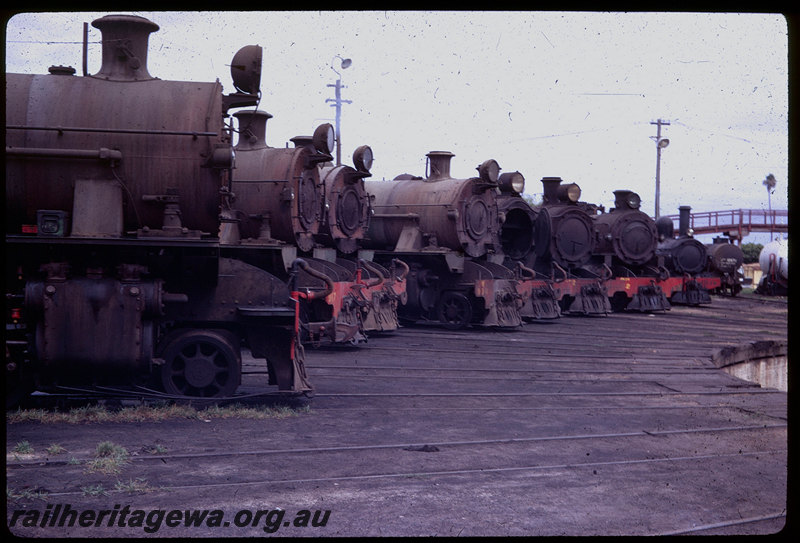 T06094
W Class 917, W Class 934 and G Class 322 stabled on turntable fan with numerous W Class, FS Class and a PMR Class loco, Bunbury loco depot

