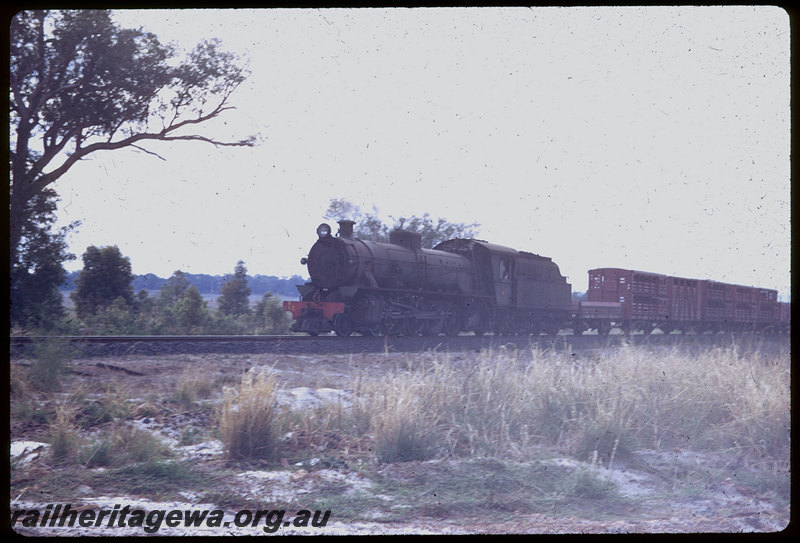 T06112
W Class 942, goods train, near Dardanup, PP line
