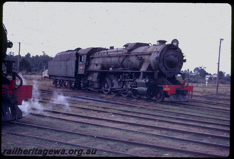 T06119
V Class 1203, stabled on turntable fan, Collie loco depot
