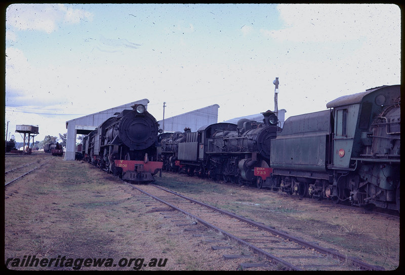 T06120
V Class 1201, PMR Class 733 and W Class 946, stabled with numerous other steam locomotives, running sheds, water tank, Collie loco depot
