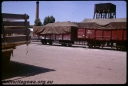 T06011.jpg