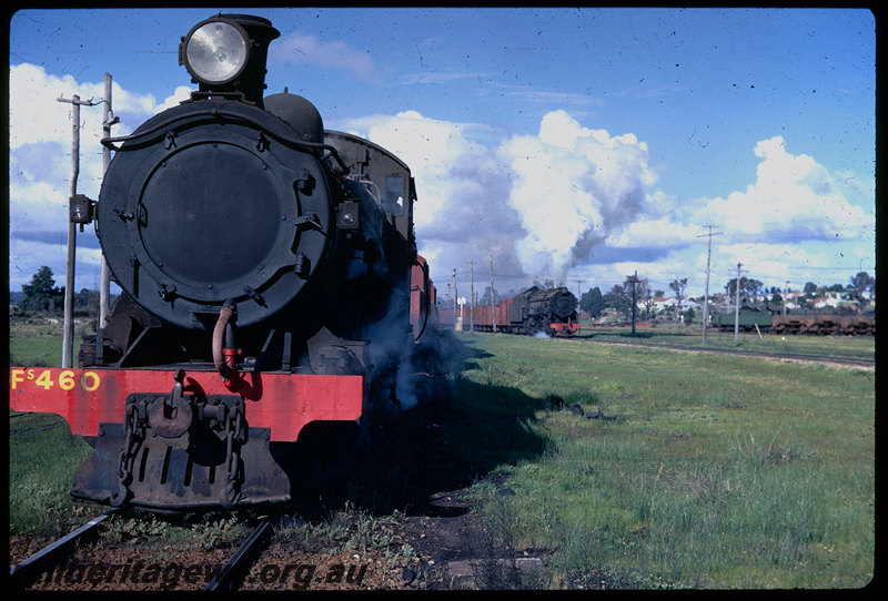 T06214
FS Class 460, shunting, V Class 1203 on goods train on mainline, Collie, BN line
