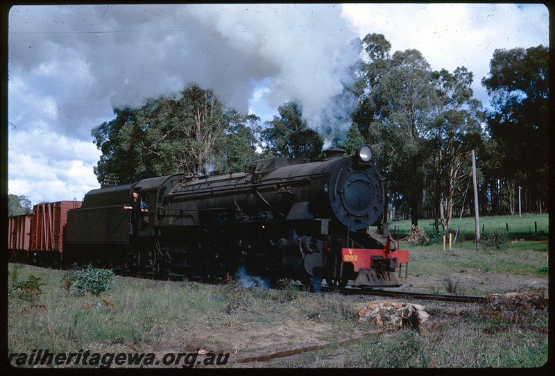 T06216
V Class 1203, goods train, between Collie and Brunswick Junction, BN line
