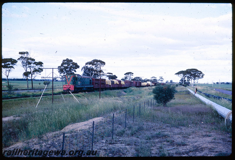 T06357
A Class 1505, Up goods train, east of Meckering, standard gauge mainline to the left, pipeline, EGR line
