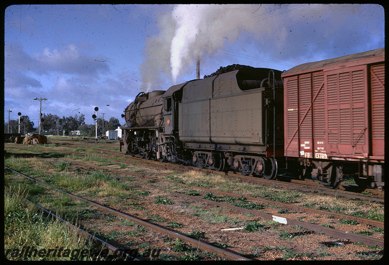 T06367
V Class 1217, shunting, Pinjarra, FD Class 13789 louvre van, searchlight signals, SWR line
