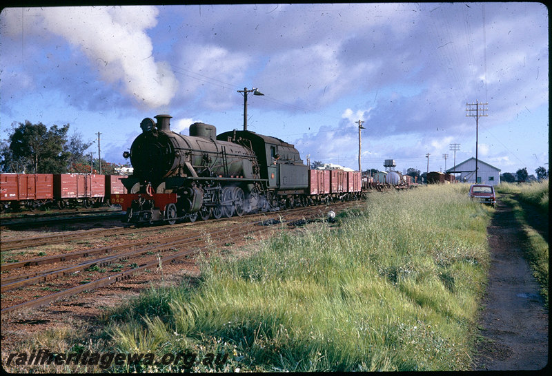 T06368
W Class 942, goods train, Pinjarra, goods shed, water tower, SWR line
