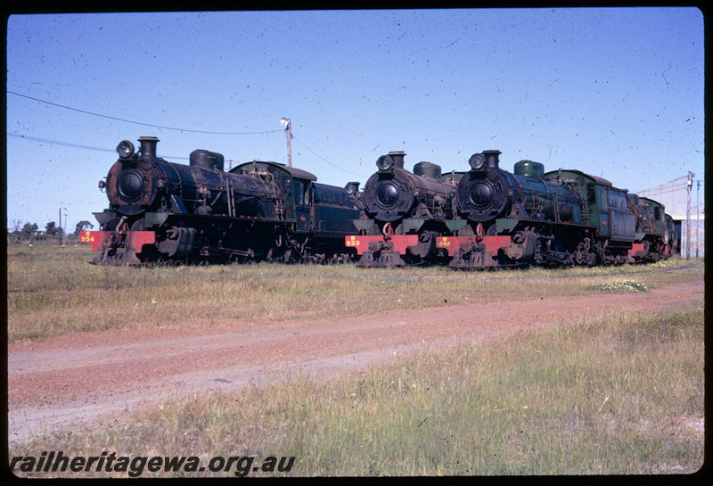 T06387
Steam locomotives stored at Collie loco depot, W Class 954, W Class 933, W Class 958, rear of roundhouse
