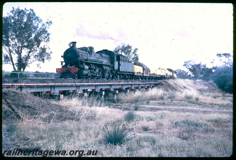 T06423
PM Class 701, Up goods train towards Collie, timber and steel trestle, between Narrogin and Hillman, BN line
