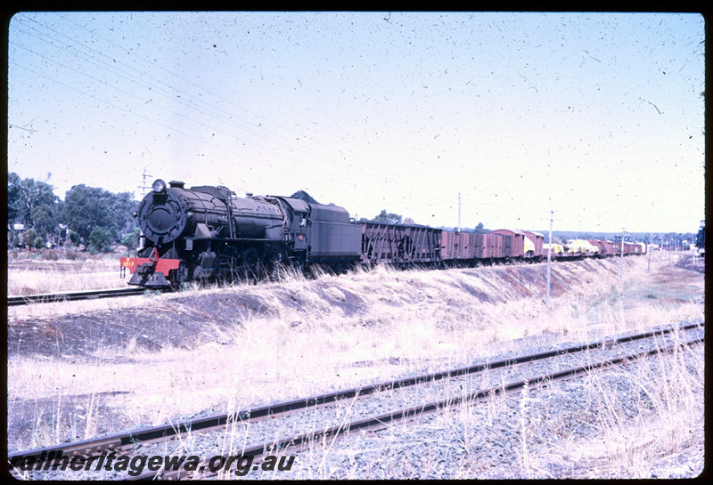 T06433
V Class 1217, departing Collie towards Brunswick Junction, goods train, BN line
