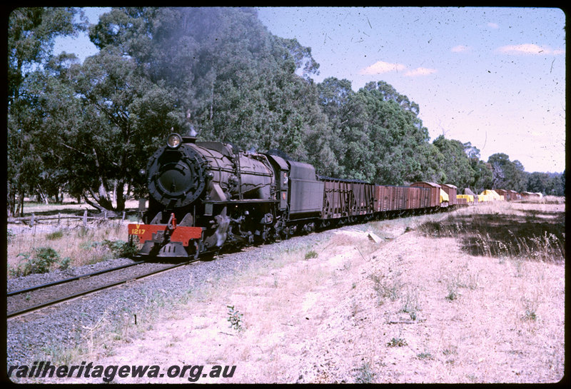 T06434
V Class 1217, Up goods train, between Collie and Brunswick Junction, BN line
