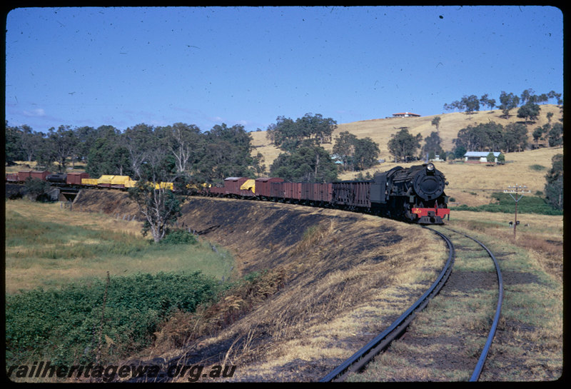 T06441
V Class 1217, goods train, near Brunswick Junction, BN line
