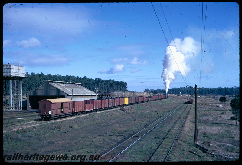 T06485
V Class 1203, loaded coal train departing Collie, Z Class brakevan, yellow GH Class coal wagon, water tank, running shed, BN Line
