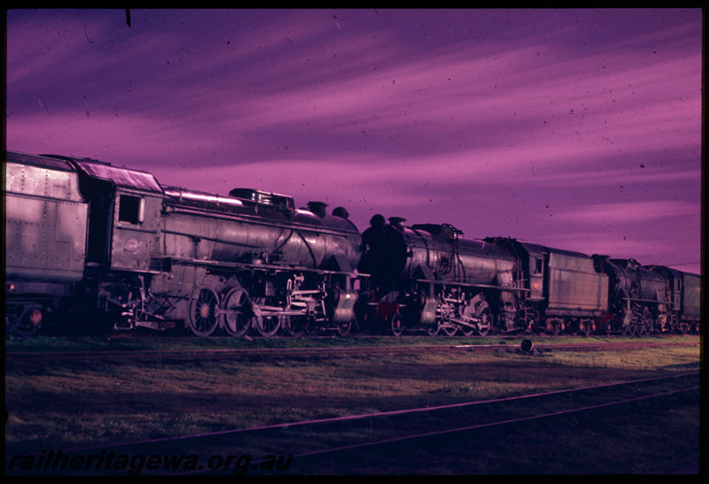 T06500
Unidentified V Class locomotives, stored, Collie locomotive depot, number plate removed on first and last locomotive, night photo
