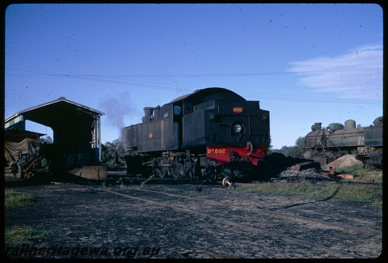 T06530
DD Class 592, Midland loco depot, cheeseknob
