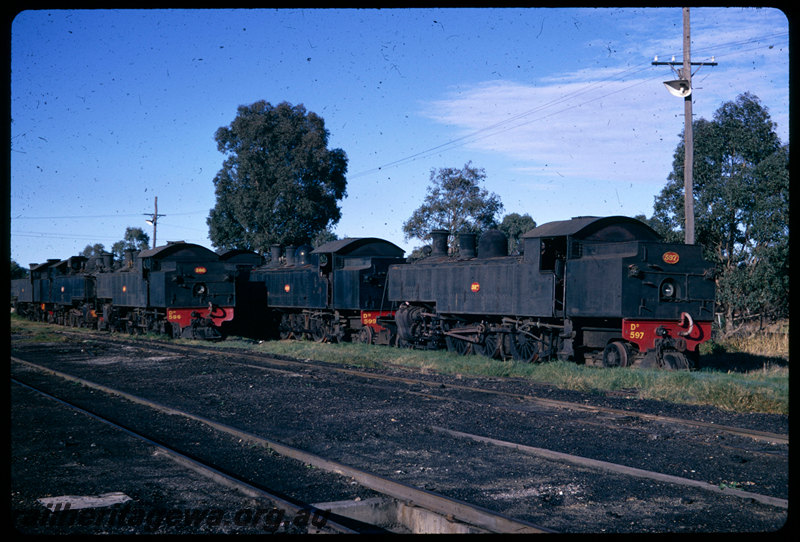 T06532
Numerous DM and DD Class locmotives stored at Midland loco depot, DM Class 586, DD Class 599, DD Class 597
