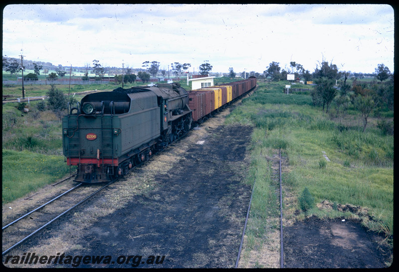 T06556
V Class 1206, empty coal train, tender first, arriving at Bruswick Junction from Bunbury, semaphore signal, stockyard, SWR line
