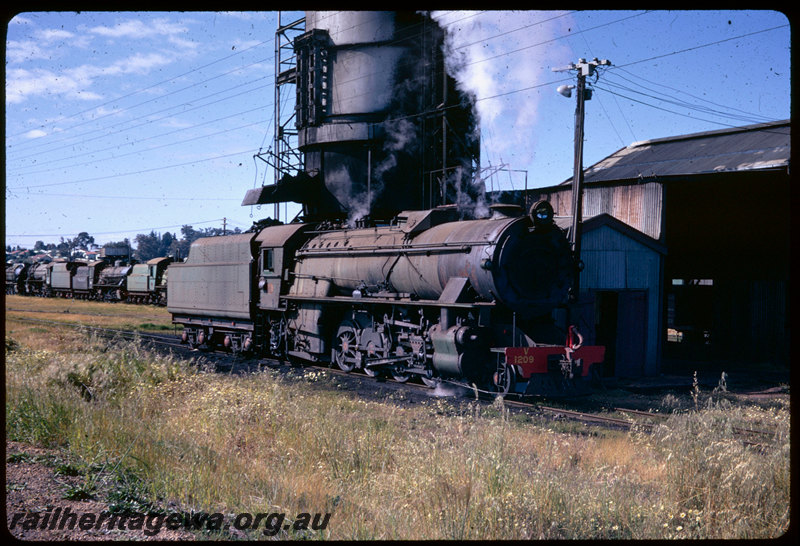 T06579
V Class 1209, Collie loco depot, coaling tower, stored steam locomotives
