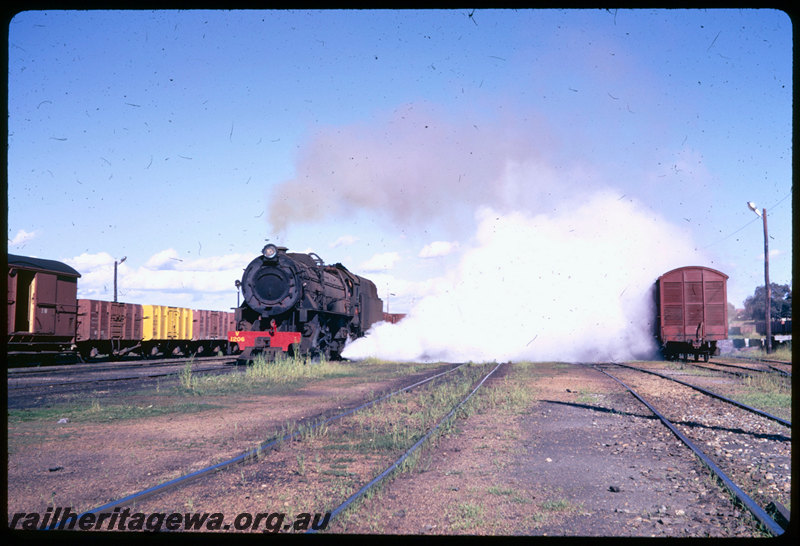 T06595
V Class 1206, blowing down, Collie
