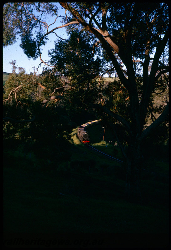 T06597
V Class 1206, goods train, near Olive Hill, BN line
