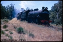 T06418.jpg