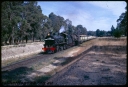 T06420.jpg