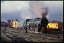 Filename=T06705.jpg
Filesize=146KiB
Dimensions=800x540
Date added=Feb 25, 2023 T06705.jpg